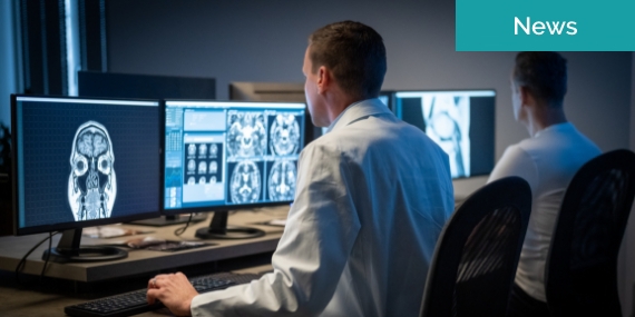 Radiologist analysing the MRI image of the head