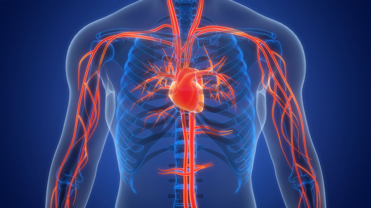 Three Major Studies May Shift Care for A-Fib, Heart Attack and Pulmonary Embolism