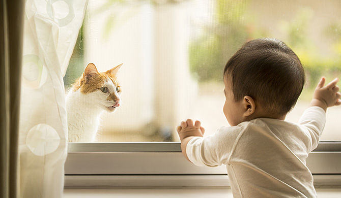 Bebé-mirando-un-gato