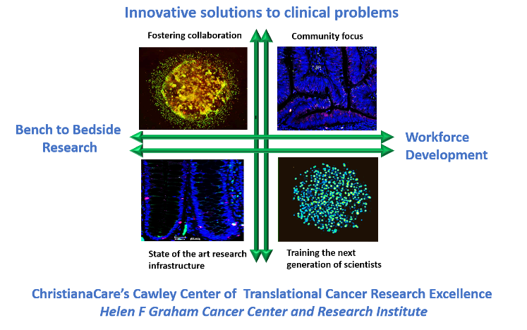 A diagram demonstrating innovative solutions to clinical problems at the Cawley Center for Translational Cancer Research