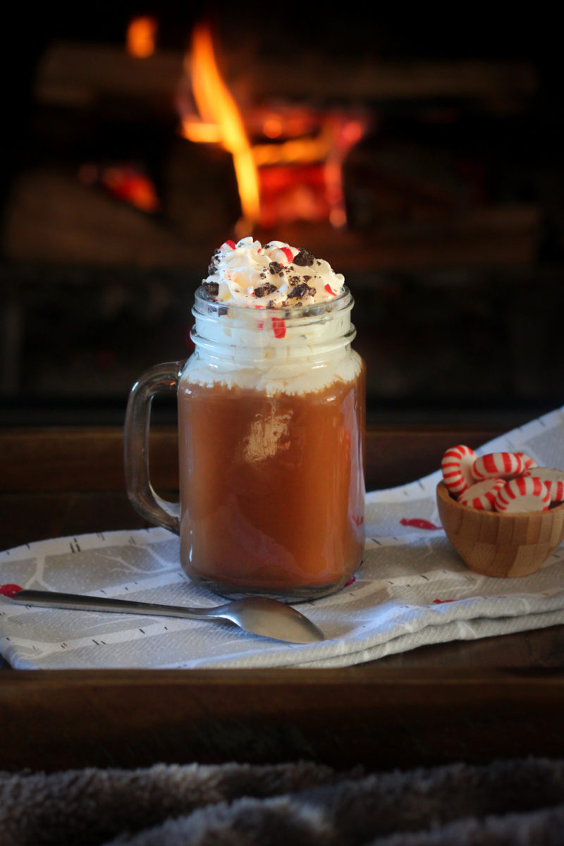 A rich hot chocolate in a mason jar mug, piled high with whipped cream, crushed peppermint candy, and chocolate shavings — set in front of a glowing fireplace with a small bowl of peppermint candies alongside, the ultimate cozy winter treat.