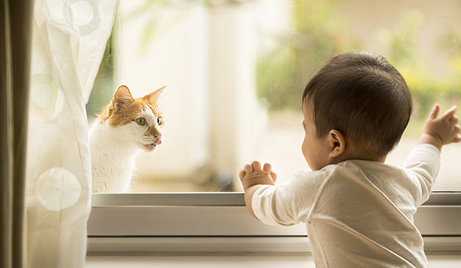 Bebé mirando un gato